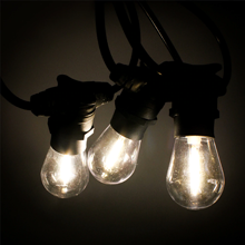 Load image into Gallery viewer, FESTOON LIGHTS - Black cable, warm white bulbs
